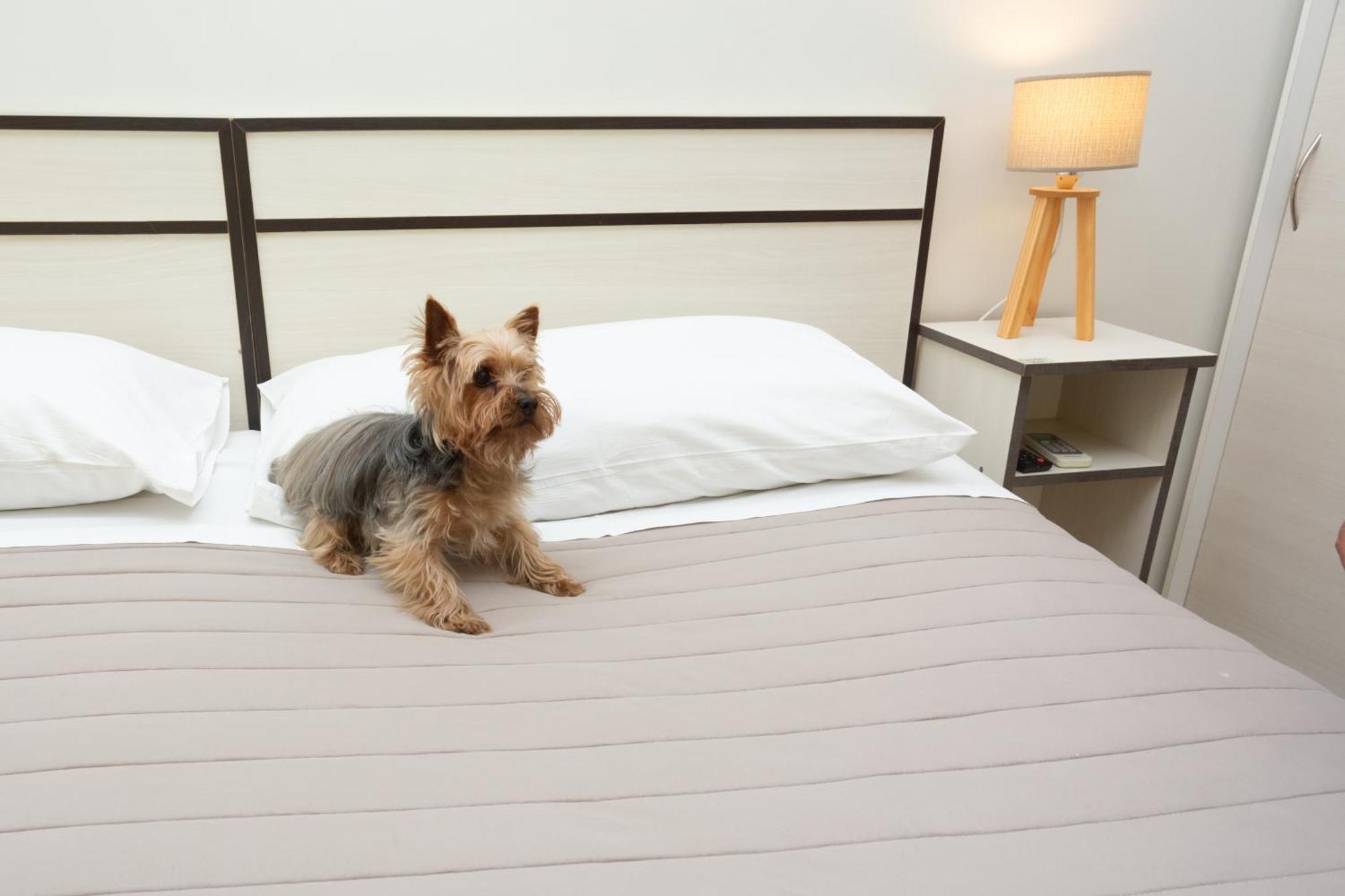 Hotel Chardonnay Tupungato Ngoại thất bức ảnh