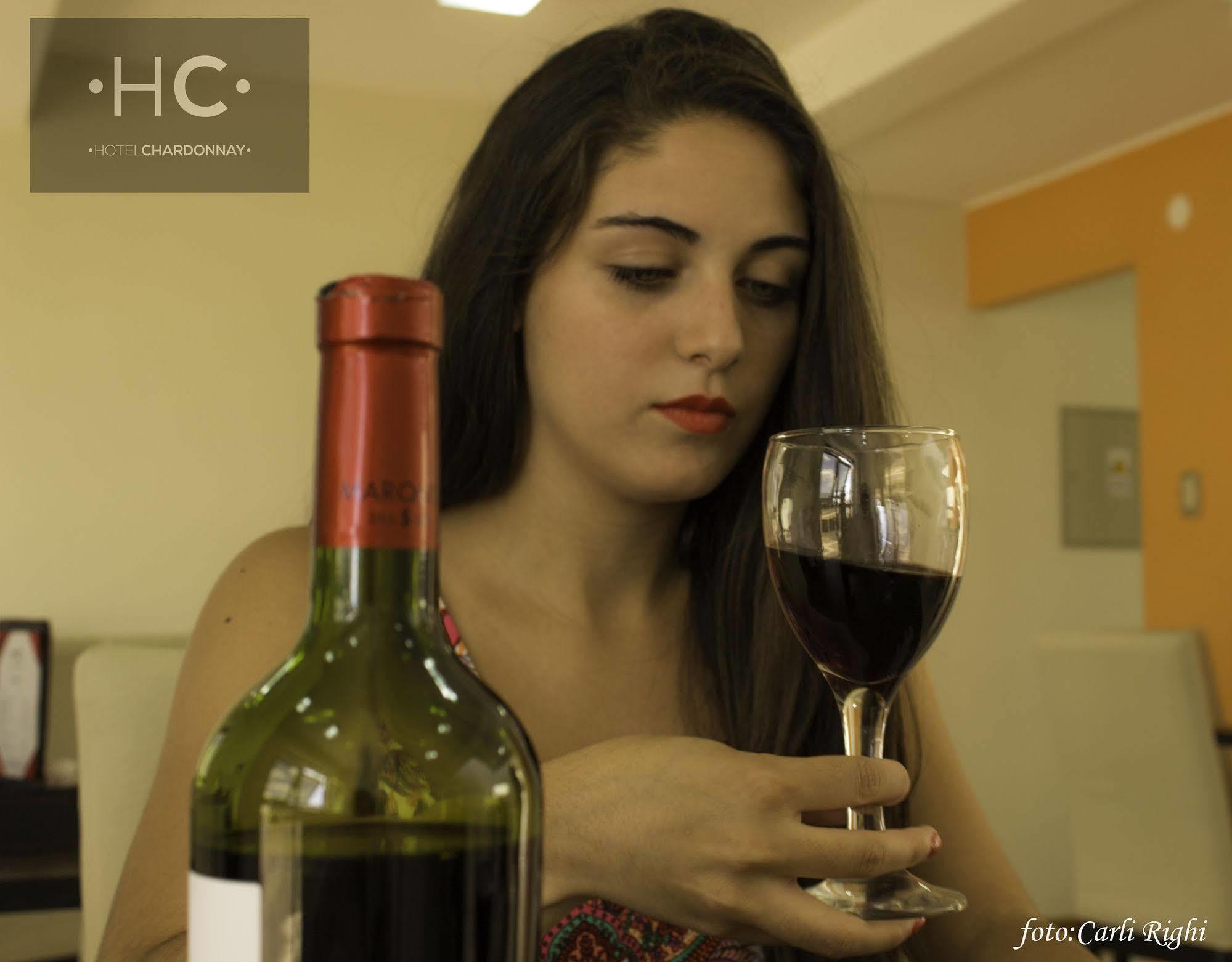 Hotel Chardonnay Tupungato Ngoại thất bức ảnh